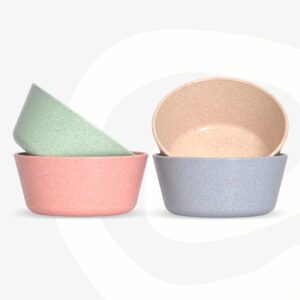 Eha Set of 4 Small Curry Bowls for Kitchen I 175 ml I Multicolor